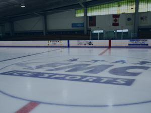 Driscoll Skating Arena Photo