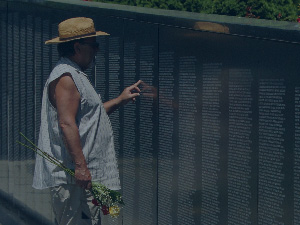 Landmarks 02 - Vietnam Veterans Wall