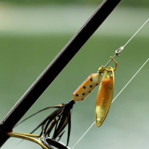 Main Bait and Tackle