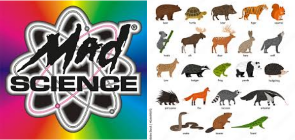 Mad Science presents All About Animals!