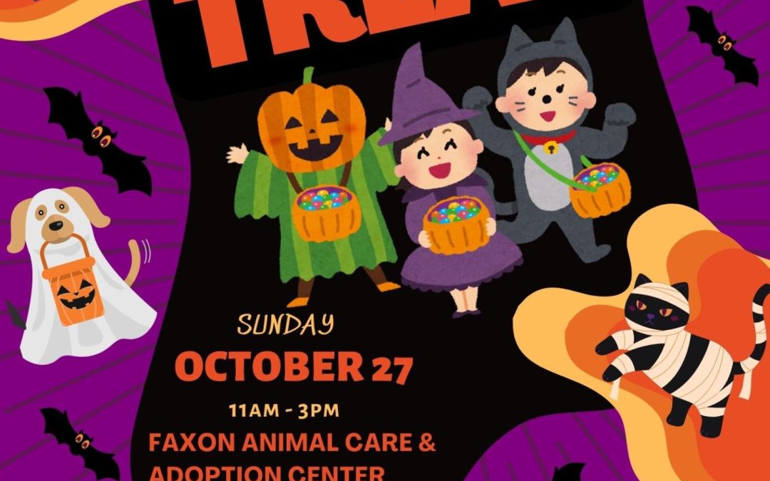 Trunk or Treat Fundraiser for the Animals